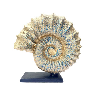 Rule-based Seashell